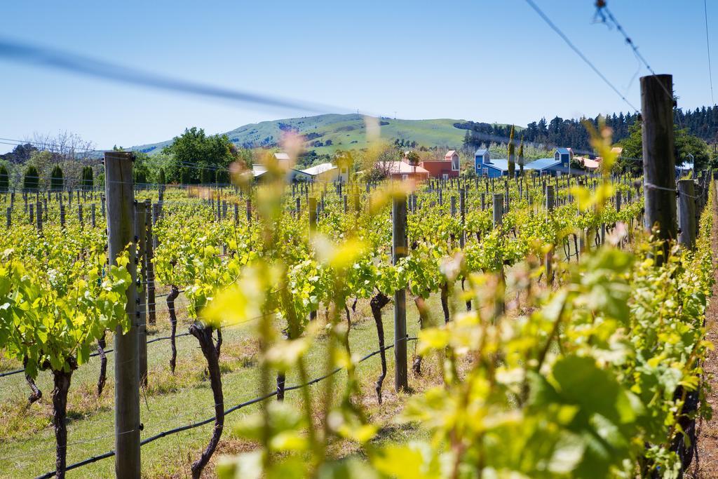 Margrain Vineyard Villas Martinborough Exterior foto