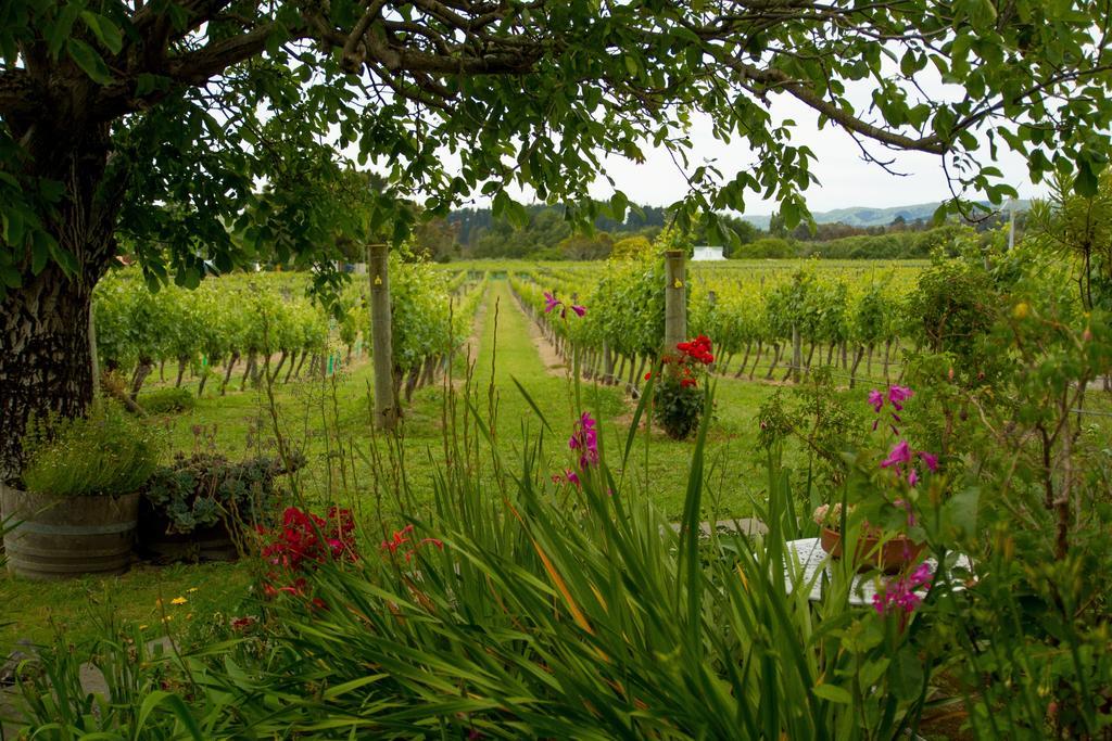 Margrain Vineyard Villas Martinborough Exterior foto